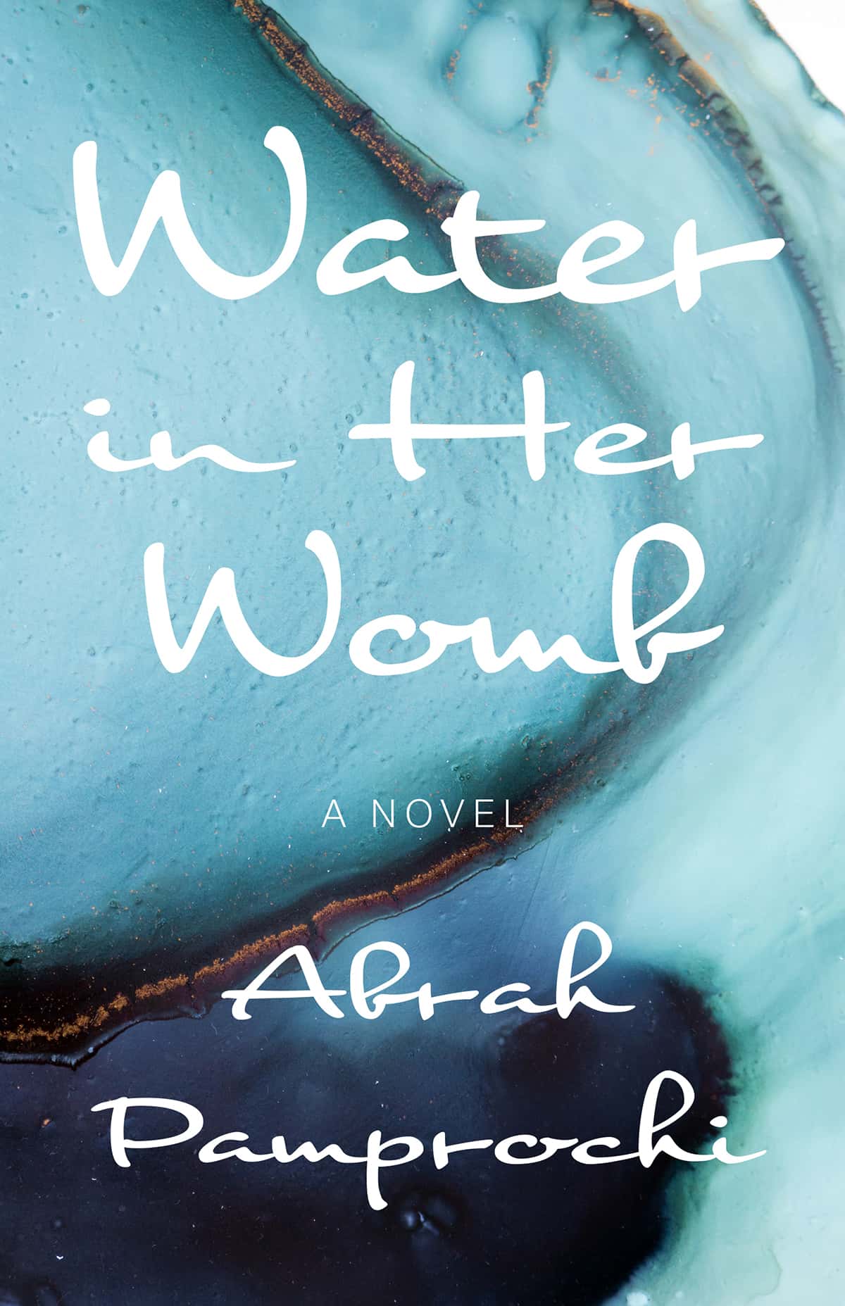Water in Her Womb: A Novel by Abrah Pamprochi